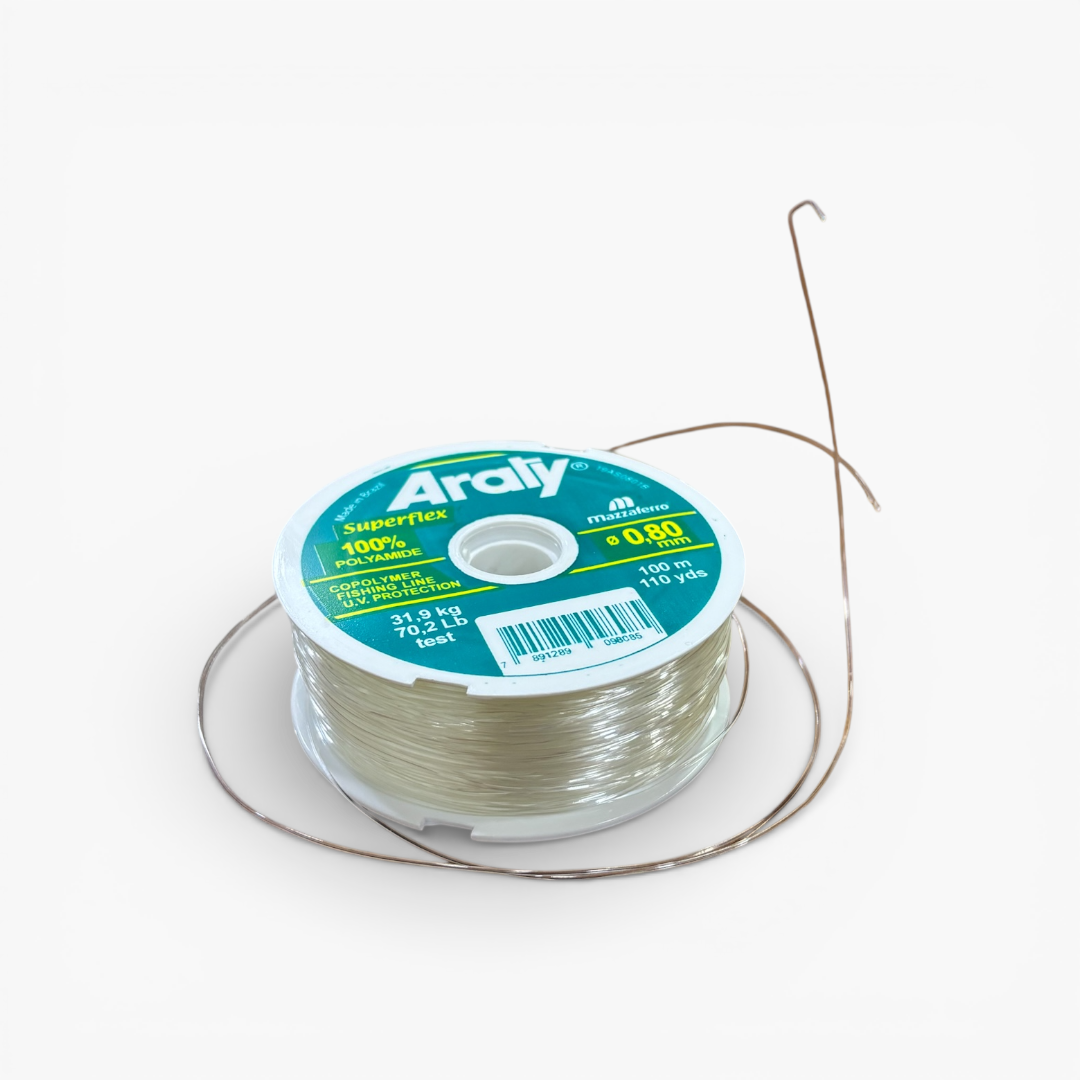 photoroom_20260117_123437